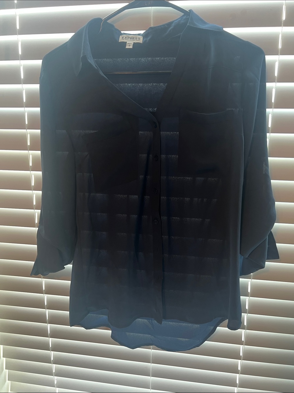 Express Navy Sheer Button-Down Blouse